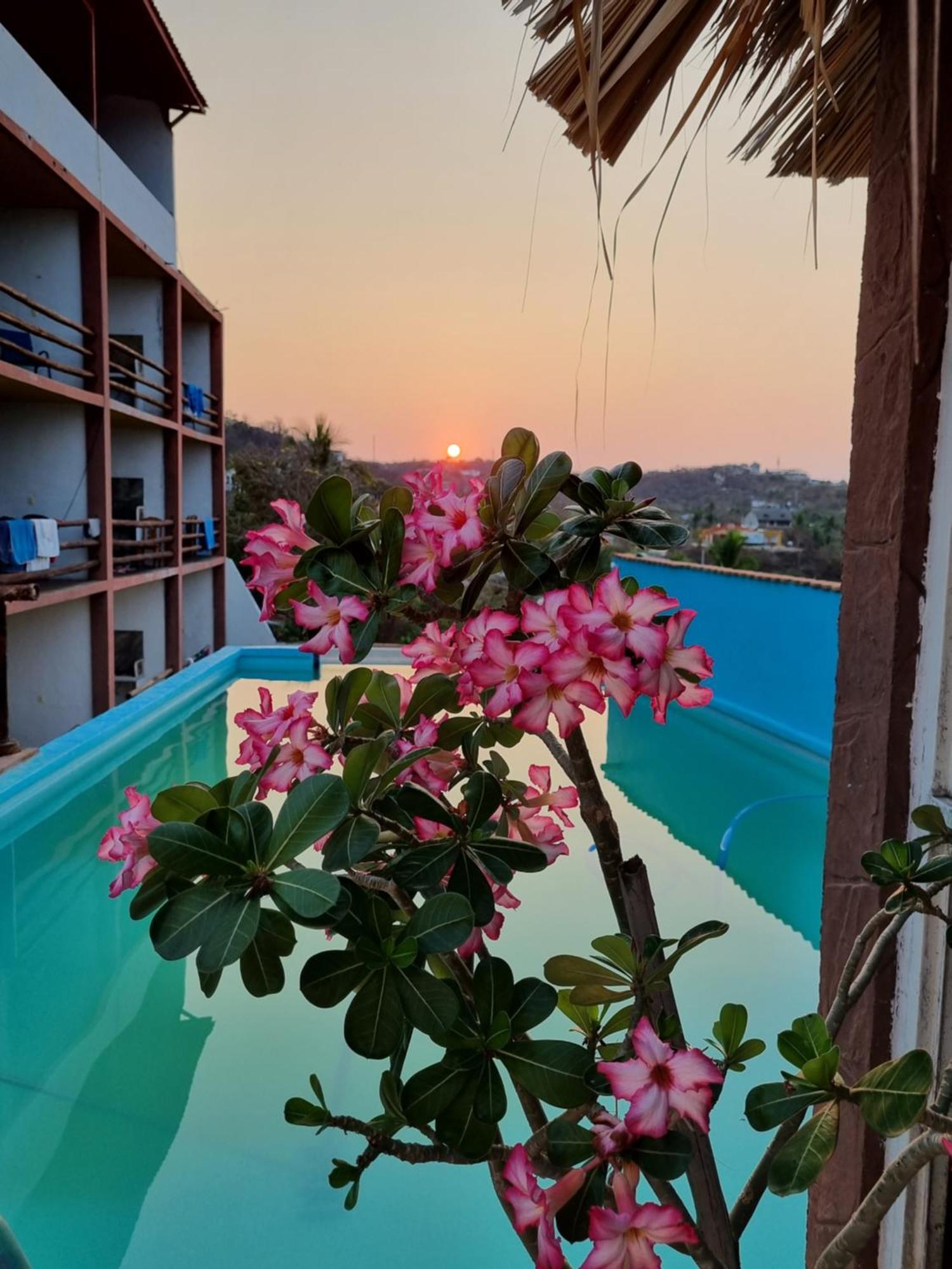 Namaste Zipolite Suites מראה חיצוני תמונה